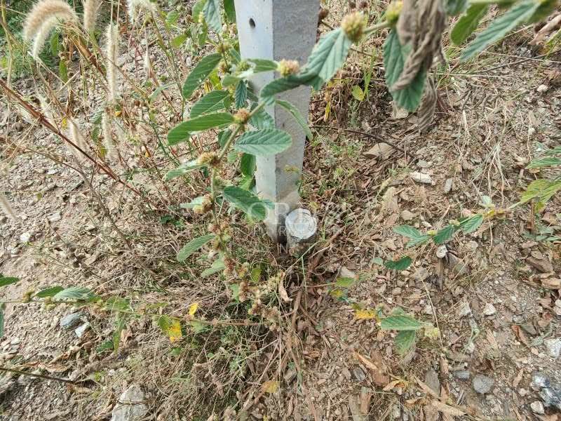 Land for sale, Prachuap Khiri Khan, Pran Buri, Prachuap Khiri Khan, 1 Bedroom, 2,224 sqm, Land For Sale, by Mark Puttkammer, 500368745 - DDproperty.com