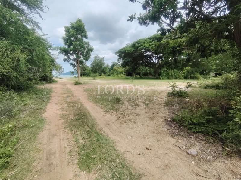 Sam Roi Yot, Prachuap Khiri Khan, Sam Roi Yot, Prachuap Khiri Khan, 1 Bedroom, 4,800 sqm, Land For Sale, by Mark Puttkammer, 500368779 - DDproperty.com