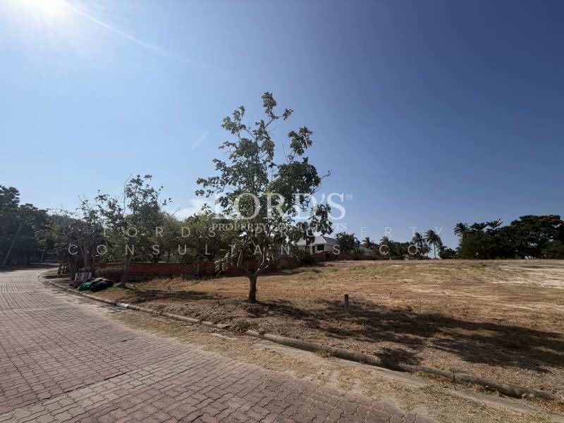Palm Hills Golf Club and Residence : ปาล์ม ฮิลส์ กอล์ฟ คลับ แอนด์ เรสซิเดนซ์, เพชรบุรี, 1444 Phet Kasem Rd, ชะอำ, เพชรบุรี, 2,000 ตร.ม., ที่ดิน ขาย, โดย Mark Puttkammer, 500368805 - DDproperty.com