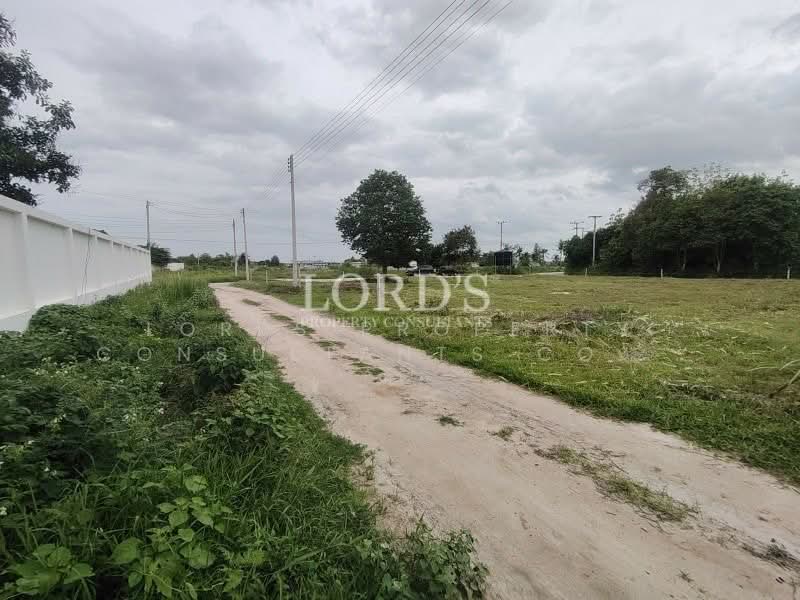 Hua Hin Black Mountain, Prachuap Khiri Khan, 565 Moo7 Nong Hieng Road Hin Lek Fai, Hin Lek Fai, Hua Hin, Prachuap Khiri Khan, 1 Bedroom, 1,632 sqm, Land For Sale, by Mark Puttkammer, 500368825 - DDproperty.com