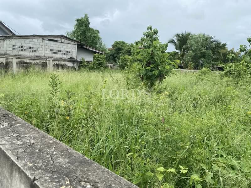 Pranburi Beach, Prachuap Khiri Khan, Pak Nam Pran, Pran Buri, Prachuap Khiri Khan, 1 Bedroom, 400 sqm, Land For Sale, by Mark Puttkammer, 500368836 - DDproperty.com