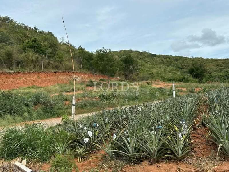 Pranburi Wang Pong East, Prachuap Khiri Khan, Wang-Pong, Pran Buri, Prachuap Khiri Khan, 1 Bedroom, 1,600 sqm, Land For Sale, by Mark Puttkammer, 500368849 - DDproperty.com