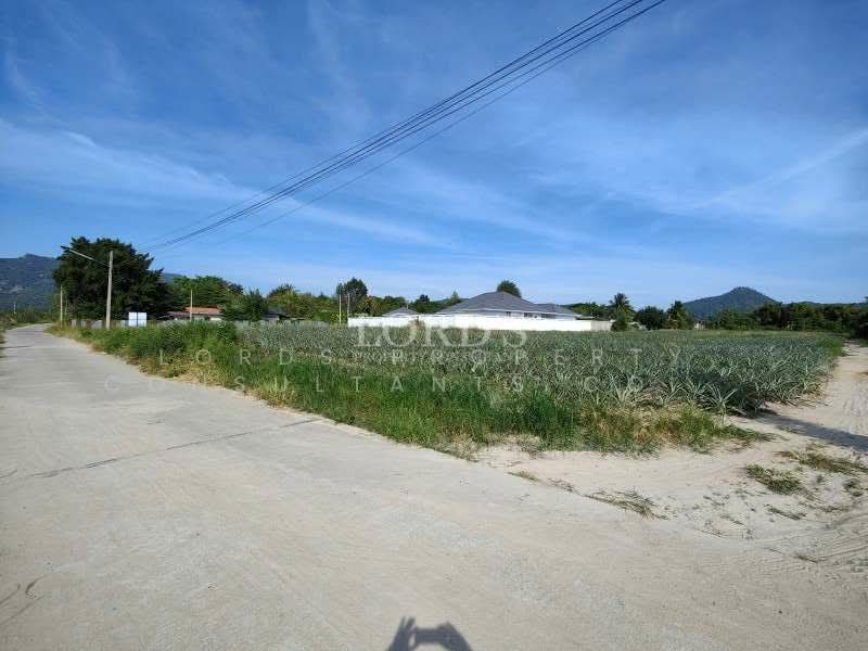 Hua Hin Black Mountain, Prachuap Khiri Khan, 565 Moo7 Nong Hieng Road Hin Lek Fai, Hin Lek Fai, Hua Hin, Prachuap Khiri Khan, 1 Bedroom, 4,800 sqm, Land For Sale, by Mark Puttkammer, 500368850 - DDproperty.com