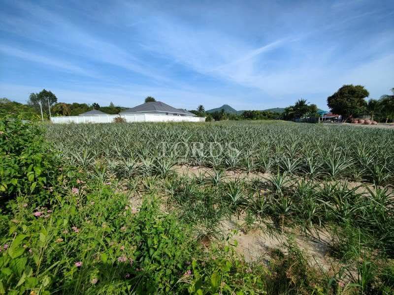 Hua Hin Black Mountain, Prachuap Khiri Khan, 565 Moo7 Nong Hieng Road Hin Lek Fai, Hin Lek Fai, Hua Hin, Prachuap Khiri Khan, 1 Bedroom, 4,800 sqm, Land For Sale, by Mark Puttkammer, 500368850 - DDproperty.com