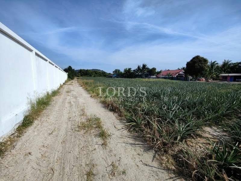 Hua Hin Black Mountain, Prachuap Khiri Khan, 565 Moo7 Nong Hieng Road Hin Lek Fai, Hin Lek Fai, Hua Hin, Prachuap Khiri Khan, 1 Bedroom, 4,800 sqm, Land For Sale, by Mark Puttkammer, 500368850 - DDproperty.com