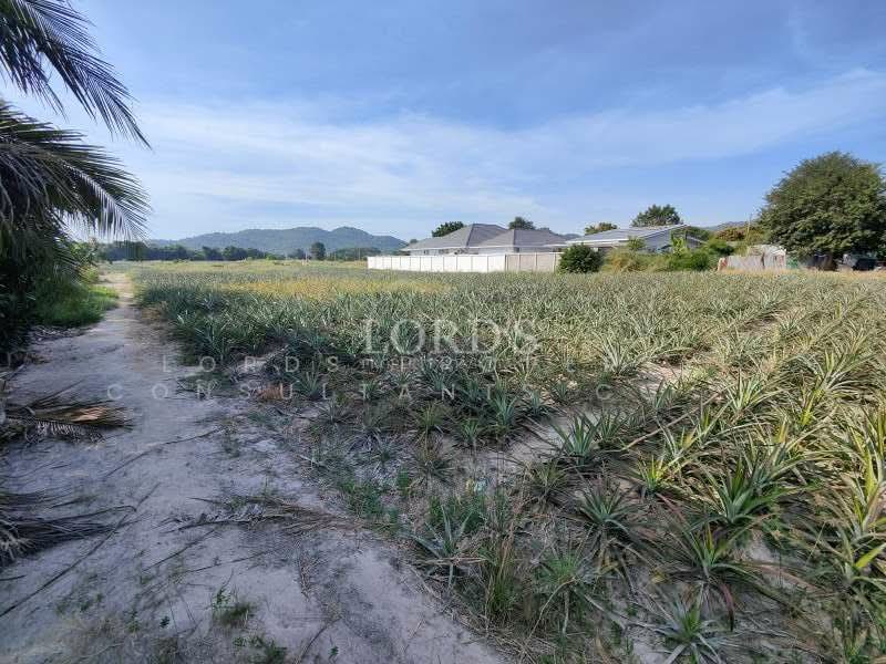 Hua Hin Black Mountain, Prachuap Khiri Khan, 565 Moo7 Nong Hieng Road Hin Lek Fai, Hin Lek Fai, Hua Hin, Prachuap Khiri Khan, 1 Bedroom, 4,800 sqm, Land For Sale, by Mark Puttkammer, 500368850 - DDproperty.com