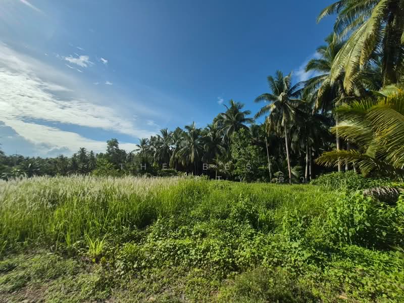 ที่ดินบางใบไม้ สุราษฎร์ธานี, Surat Thani, Bang Bai Mai, Muang Surat Thani, Surat Thani, , 2,000 sqm, Land For Sale, by The Best Property ดิว, 500368908 - DDproperty.com