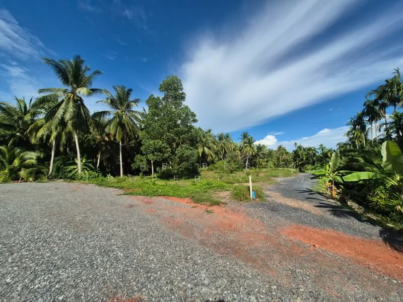 ที่ดินบางใบไม้ สุราษฎร์ธานี, Surat Thani, Bang Bai Mai, Muang Surat Thani, Surat Thani, , 2,000 sqm, Land For Sale, by The Best Property ดิว, 500368908 - DDproperty.com