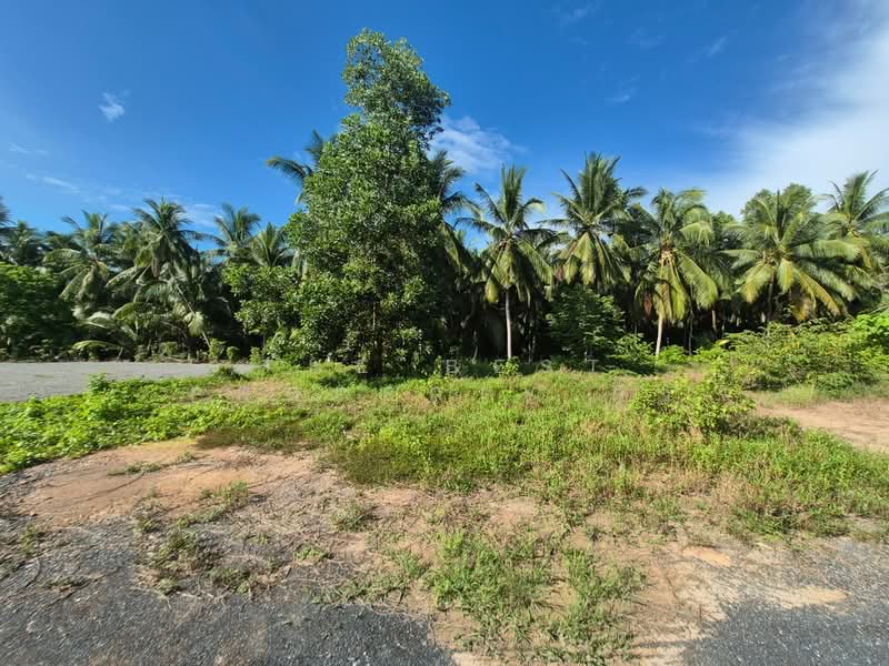 ที่ดินบางใบไม้ สุราษฎร์ธานี, Surat Thani, Bang Bai Mai, Muang Surat Thani, Surat Thani, , 2,000 sqm, Land For Sale, by The Best Property ดิว, 500368908 - DDproperty.com