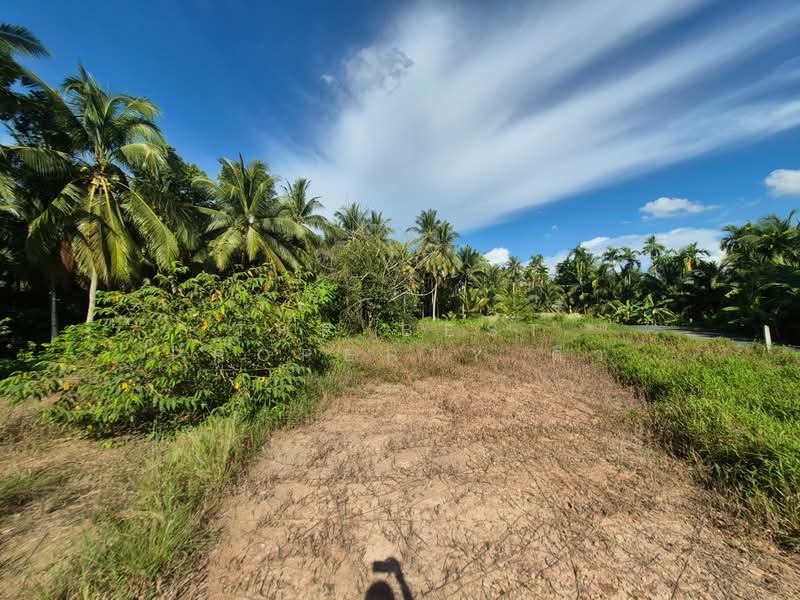 ที่ดินบางใบไม้ สุราษฎร์ธานี, Surat Thani, Bang Bai Mai, Muang Surat Thani, Surat Thani, , 2,000 sqm, Land For Sale, by The Best Property ดิว, 500368908 - DDproperty.com
