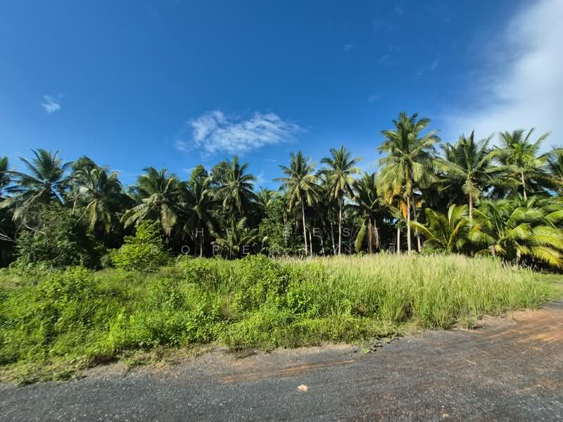 ที่ดินบางใบไม้ สุราษฎร์ธานี, Surat Thani, Bang Bai Mai, Muang Surat Thani, Surat Thani, , 2,000 sqm, Land For Sale, by The Best Property ดิว, 500368908 - DDproperty.com