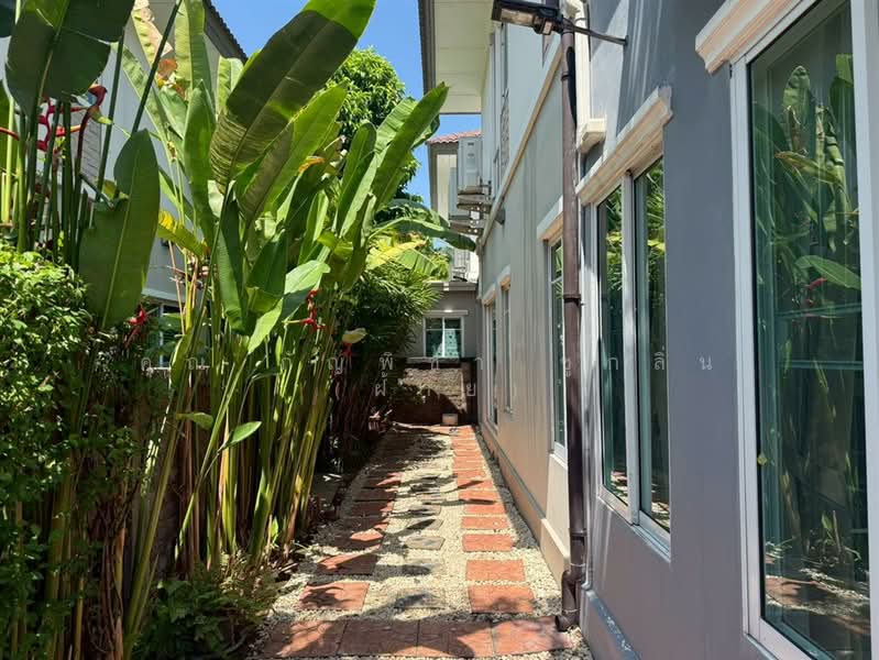 The Plant Chaengwattana, Nonthaburi, Soi Chaengwattana-Pakkred 39, Ban Mai, Pak Kret, Nonthaburi, 4 Bedrooms, 220 sqm, Single Detached House For Sale, by คุณ กัญพิชา ชูกลิ่น (ฝ้าย), 500368978 - DDproperty.com
