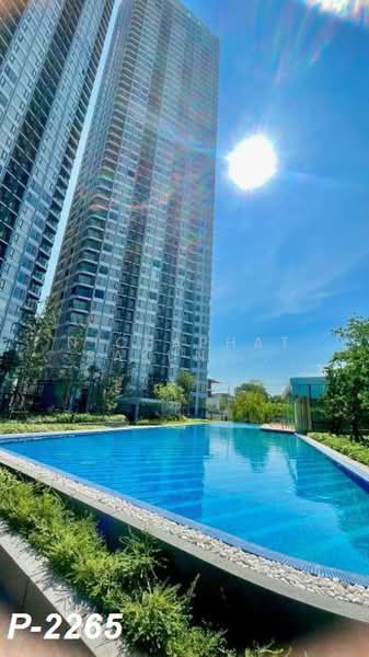 Skyrise Avenue Sukhumvit 64 : สกายไลน์ อเวนิว สุขุมวิท 64, กรุงเทพ, 3 ถนนสุขุมวิท 64, บางจาก, พระโขนง, กรุงเทพ, 35 ตร.ม., คอนโด ให้เช่า, โดย Nichaphat Sakunchayapha, 500368981 - DDproperty.com