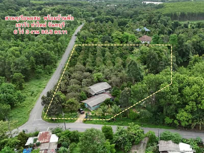 ที่ดินท่าใหม่ จันทบุรี, Chanthaburi, Khao Wua, Tha Mai, Chanthaburi, , 11,144 sqm, Land For Sale, by The Best Property โชติ, 500369000 - DDproperty.com