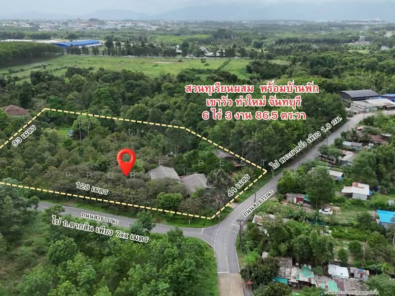 ที่ดินท่าใหม่ จันทบุรี, จันทบุรี, เขาวัว, ท่าใหม่, จันทบุรี, 11,144 ตร.ม., ที่ดิน ขาย, โดย The Best Property โชติ, 500369000 - DDproperty.com