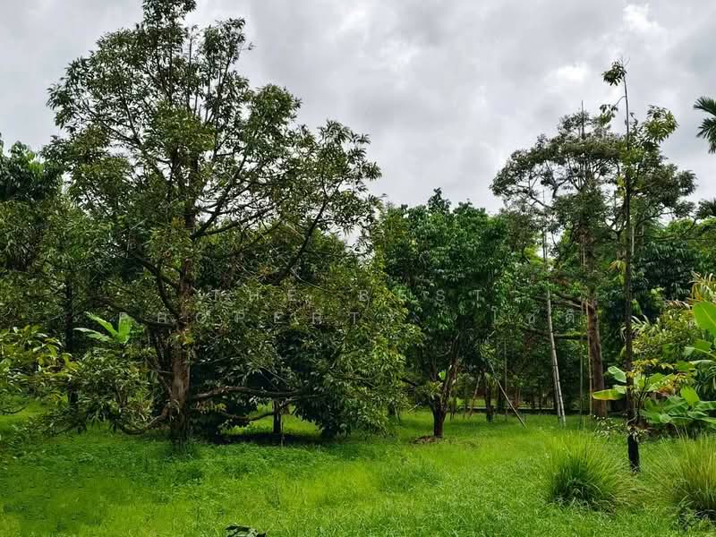 ที่ดินท่าใหม่ จันทบุรี, Chanthaburi, Khao Wua, Tha Mai, Chanthaburi, , 11,144 sqm, Land For Sale, by The Best Property โชติ, 500369000 - DDproperty.com