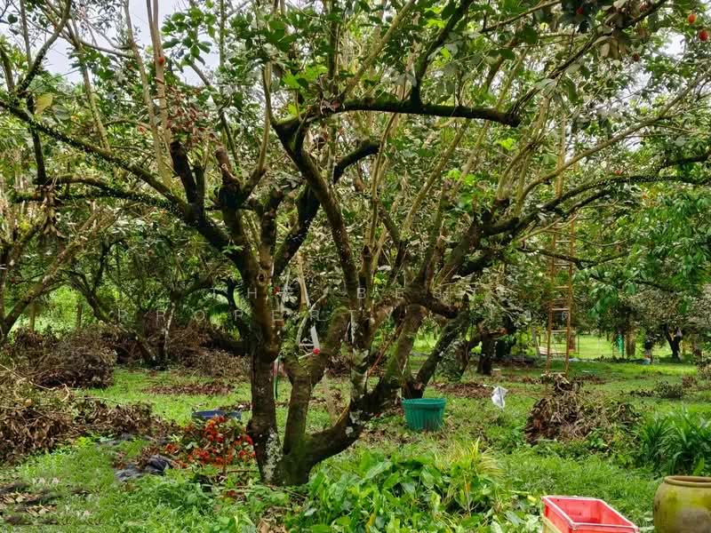 ที่ดินท่าใหม่ จันทบุรี, Chanthaburi, Khao Wua, Tha Mai, Chanthaburi, , 11,144 sqm, Land For Sale, by The Best Property โชติ, 500369000 - DDproperty.com