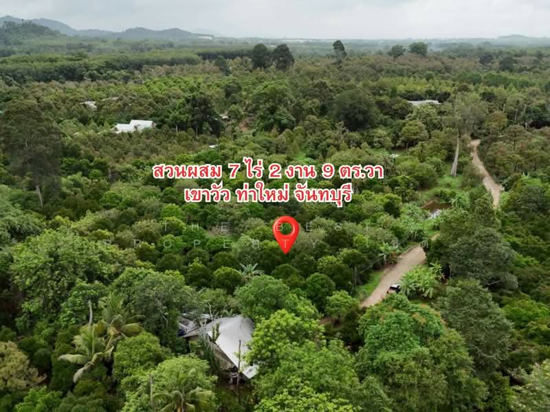 ที่ดินท่าใหม่ จันทบุรี, Chanthaburi, Khao Wua, Tha Mai, Chanthaburi, , 12,036 sqm, Land For Sale, by The Best Property โชติ, 500369035 - DDproperty.com