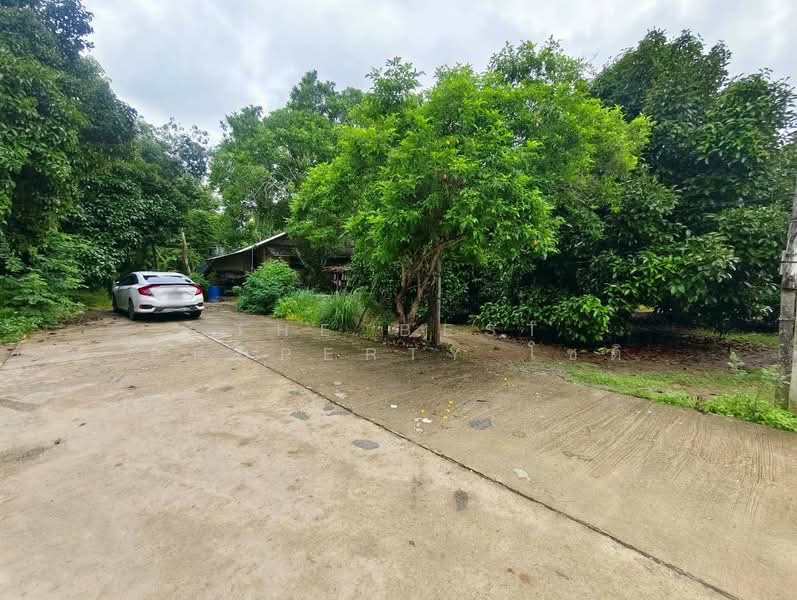 ที่ดินท่าใหม่ จันทบุรี, Chanthaburi, Khao Wua, Tha Mai, Chanthaburi, , 12,036 sqm, Land For Sale, by The Best Property โชติ, 500369035 - DDproperty.com