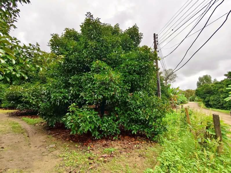 ที่ดินท่าใหม่ จันทบุรี, Chanthaburi, Khao Wua, Tha Mai, Chanthaburi, , 12,036 sqm, Land For Sale, by The Best Property โชติ, 500369035 - DDproperty.com