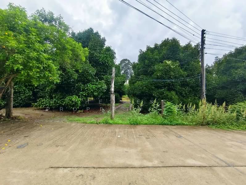 ที่ดินท่าใหม่ จันทบุรี, Chanthaburi, Khao Wua, Tha Mai, Chanthaburi, , 12,036 sqm, Land For Sale, by The Best Property โชติ, 500369035 - DDproperty.com