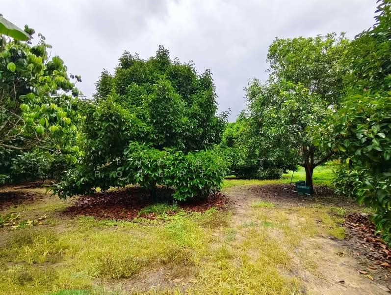 ที่ดินท่าใหม่ จันทบุรี, จันทบุรี, เขาวัว, ท่าใหม่, จันทบุรี, 12,036 ตร.ม., ที่ดิน ขาย, โดย The Best Property โชติ, 500369035 - DDproperty.com