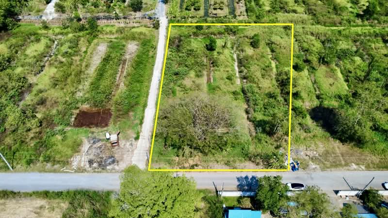 ที่ดินสวย ติด วัดป่าเจริญราช ลำลูกกา, Pathum Thani, Bung Thong Lang, Lam Luk Ka, Pathum Thani, , 3,200 sqm, Land For Sale, by อรรถพล อนุรุทธิกร, 500369057 - DDproperty.com