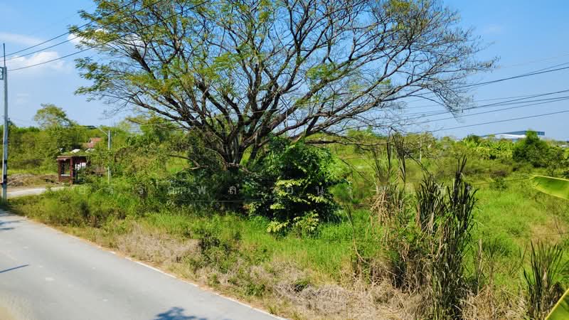 ที่ดินสวย ติด วัดป่าเจริญราช ลำลูกกา, Pathum Thani, Bung Thong Lang, Lam Luk Ka, Pathum Thani, , 3,200 sqm, Land For Sale, by อรรถพล อนุรุทธิกร, 500369057 - DDproperty.com