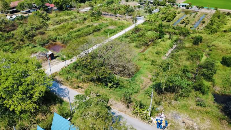 ที่ดินสวย ติด วัดป่าเจริญราช ลำลูกกา, Pathum Thani, Bung Thong Lang, Lam Luk Ka, Pathum Thani, , 3,200 sqm, Land For Sale, by อรรถพล อนุรุทธิกร, 500369057 - DDproperty.com