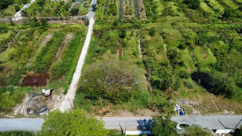 ที่ดินสวย ติด วัดป่าเจริญราช ลำลูกกา, Pathum Thani, Bung Thong Lang, Lam Luk Ka, Pathum Thani, , 3,200 sqm, Land For Sale, by อรรถพล อนุรุทธิกร, 500369057 - DDproperty.com