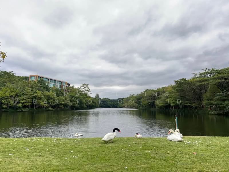 Swan Lake Residences Khao Yai, Nakhon Ratchasima, Rural Road NMA.3052, Pong Ta Long, Pak Chong, Nakhon Ratchasima, 3 Bedrooms, 159 sqm, Condo For Sale, by Smart Living Bangkok Co.,Ltd., 500369140 - DDproperty.com