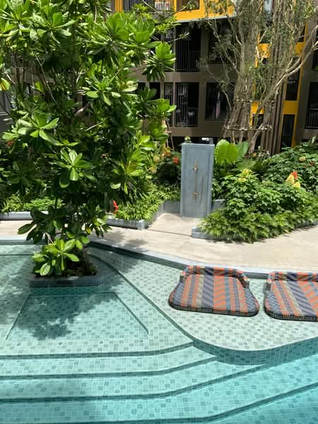 The Base Central, Phuket, Chao Fah Tawan Tok Rd, Wichit, Muang Phuket, Phuket, 1 Bedroom, 29 sqm, Condo For Rent, by Diss, 500369164 - DDproperty.com