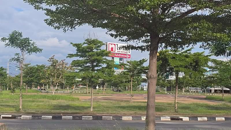 ขายที่ดินพร้อมต้นมะม่วง 200 ต้น ต.สมอแข อ.เมือง จ.พิษณุโลก, Phitsanulok, Samo Khae, Muang Phitsanulok, Phitsanulok, , 4,532 sqm, Land For Sale, by พงศ์ภัทร์ ธัญโชควราพงศ์, 500369386 - DDproperty.com