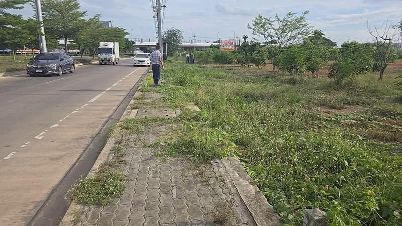 ขายที่ดินพร้อมต้นมะม่วง 200 ต้น ต.สมอแข อ.เมือง จ.พิษณุโลก, พิษณุโลก, สมอแข, เมืองพิษณุโลก, พิษณุโลก, 4,532 ตร.ม., ที่ดิน ขาย, โดย พงศ์ภัทร์ ธัญโชควราพงศ์, 500369386 - DDproperty.com