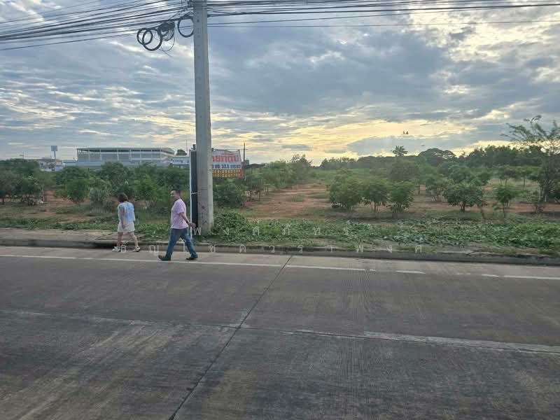 ขายที่ดินพร้อมต้นมะม่วง 200 ต้น ต.สมอแข อ.เมือง จ.พิษณุโลก, Phitsanulok, Samo Khae, Muang Phitsanulok, Phitsanulok, , 4,532 sqm, Land For Sale, by พงศ์ภัทร์ ธัญโชควราพงศ์, 500369386 - DDproperty.com