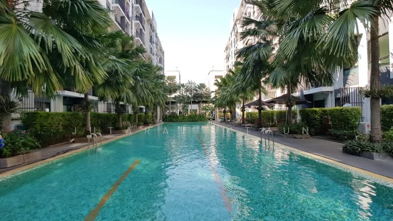 iCondo Sukhumvit 105 : ไอคอนโด สุขุมวิท 105, กรุงเทพ, 20 ซอยลาซาล 19 ถนนสุขุมวิท 105, บางนา, กรุงเทพ, 30 ตร.ม., คอนโด ขาย, โดย Jutarat Jitmun, 500369423 - DDproperty.com