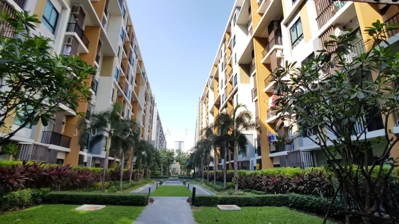 iCondo Sukhumvit 105, Bangkok, 20 Soi Lasalle 19,  Sukhumvit 105 Road, Bang Na, Bangkok, 1 Bedroom, 30 sqm, Condo For Sale, by Jutarat Jitmun, 500369423 - DDproperty.com