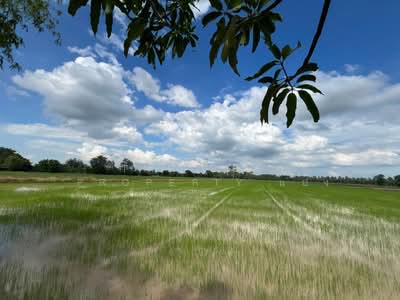 ขาย - ที่ดินขาณุวรลักษบุรี กำแพงเพชร, กำแพงเพชร