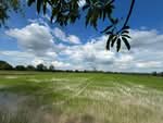 ที่ดินขาณุวรลักษบุรี กำแพงเพชร, กำแพงเพชร