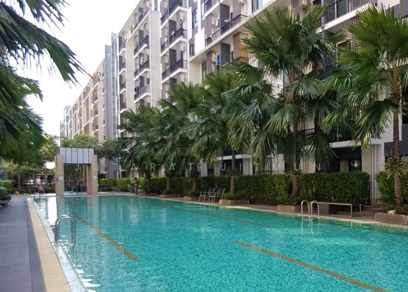 iCondo Sukhumvit 105, Bangkok, 20 Soi Lasalle 19,  Sukhumvit 105 Road, Bang Na, Bangkok, 1 Bedroom, 30 sqm, Condo For Rent, by Jutarat Jitmun, 500369431 - DDproperty.com