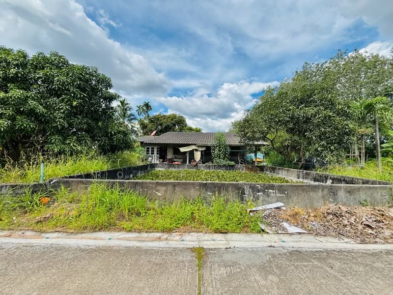 ที่ดินบ้านค่าย ระยอง, ระยอง, บ้านค่าย, ระยอง, 1,168 ตร.ม., ที่ดิน ขาย, โดย The Best Property นิด, 500369496 - DDproperty.com