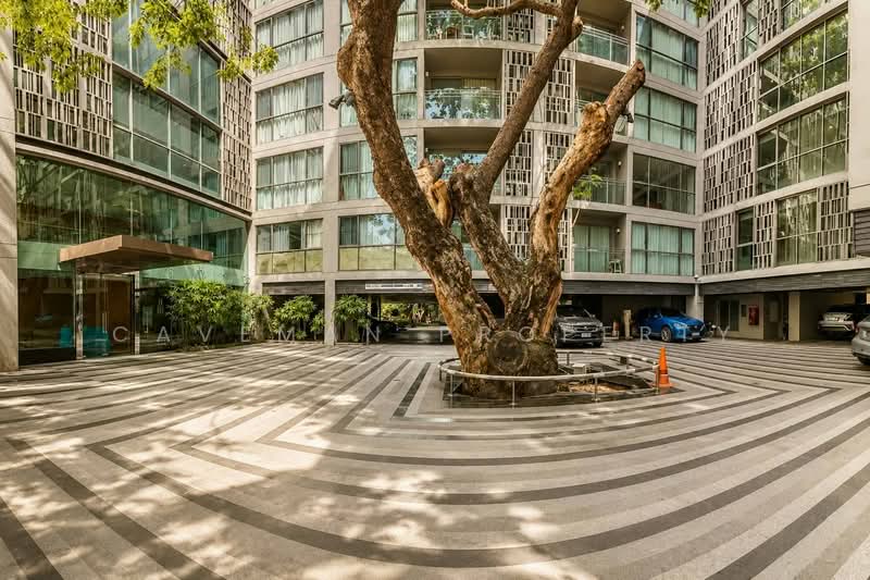 Via BOTANI, Bangkok, 36 Soi Sukhumvit 47, Sukhumvit Road, Khlong Tan Nua, Watthana, Bangkok, 1 Bedroom, 49 sqm, Condo For Rent, by caveman property, 500369593 - DDproperty.com
