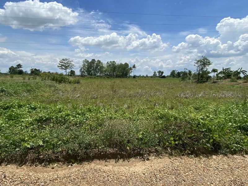 เมืองพิษณุโลก, Phitsanulok, Tha Pho, Muang Phitsanulok, Phitsanulok, , 800 sqm, Land For Sale, by ERA Thailand, 500369621 - DDproperty.com