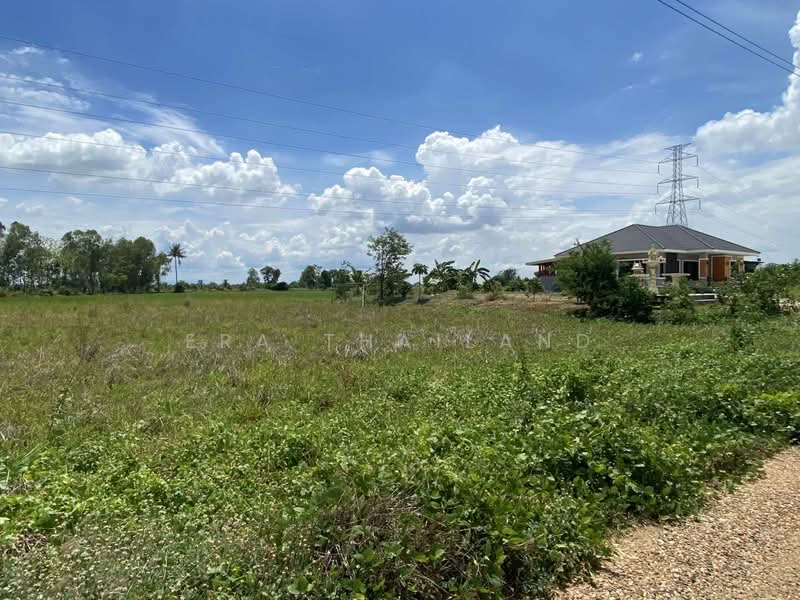 เมืองพิษณุโลก, พิษณุโลก, ท่าโพธิ์, เมืองพิษณุโลก, พิษณุโลก, 800 ตร.ม., ที่ดิน ขาย, โดย ERA Thailand, 500369621 - DDproperty.com