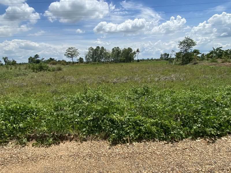 เมืองพิษณุโลก, พิษณุโลก, ท่าโพธิ์, เมืองพิษณุโลก, พิษณุโลก, 800 ตร.ม., ที่ดิน ขาย, โดย ERA Thailand, 500369621 - DDproperty.com