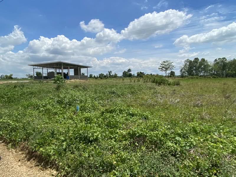 เมืองพิษณุโลก, พิษณุโลก, ท่าโพธิ์, เมืองพิษณุโลก, พิษณุโลก, 800 ตร.ม., ที่ดิน ขาย, โดย ERA Thailand, 500369621 - DDproperty.com