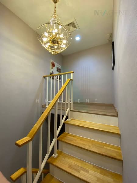 Eigen Premium Townhome Pattanakarn, Bangkok, Soi 99 , Phatthanakan Rd, Prawet, Bangkok, 4 Bedrooms, 200 sqm, Townhouse For Rent, by NR AGENT, 500369790 - DDproperty.com