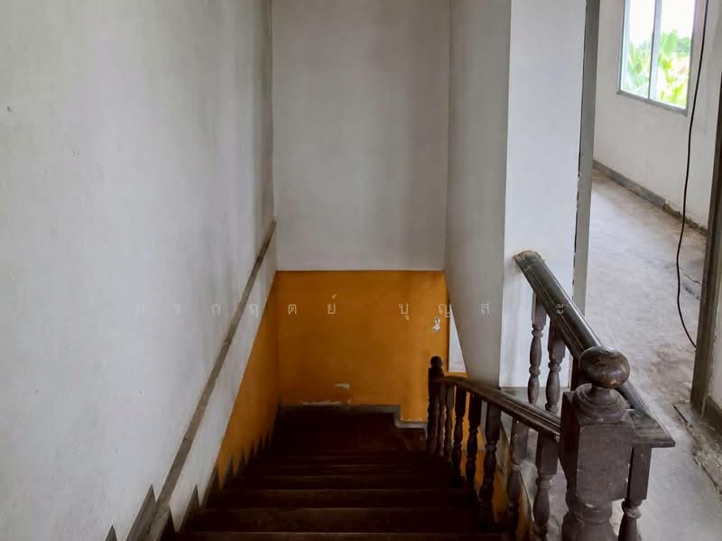 Phrae Ma Porn Place, Pathum Thani, Bang Yitho, Thanyaburi, Pathum Thani, 2 Bedrooms, 120 sqm, Townhouse For Sale, by กรกฤตย์ บุญสระ, 500370002 - DDproperty.com