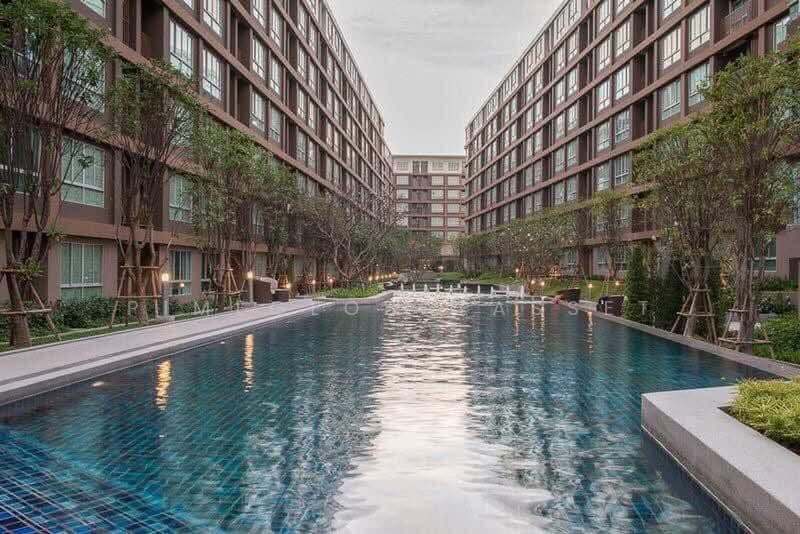 Dcondo Creek Phuket : ดีคอนโด ครีก ภูเก็ต, ภูเก็ต, 81 ม.2, กะทู้, ภูเก็ต, 33 ตร.ม., คอนโด ให้เช่า, โดย PimeGlobalAsset, 500370007 - DDproperty.com