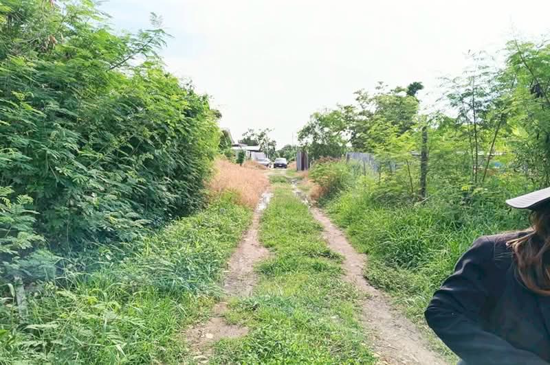 สุขาประชาสรรค์ 3 ปากเกร็ด นนทบุรี, Nonthaburi, ถนนติวานนท์, Bang Phut, Pak Kret, Nonthaburi, , 784 sqm, Land For Sale, by คุณเอ๋, 500370101 - DDproperty.com